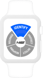 NIST Identify Security Assessment